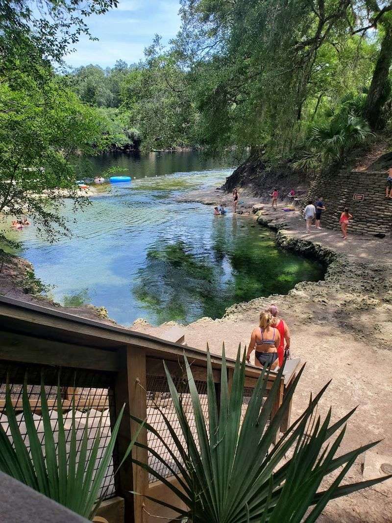 Lafayette Blue Springs State Park