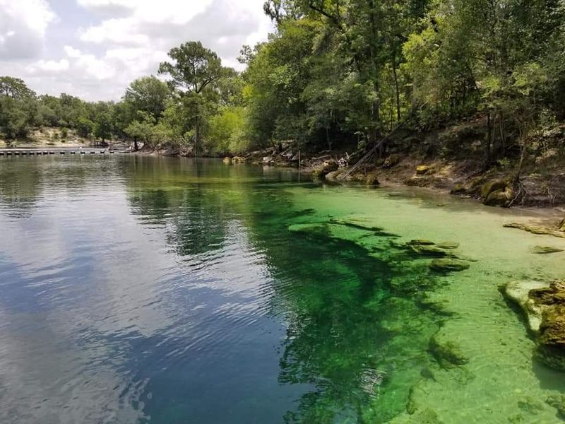 The Crystal-Clear First-Magnitude Spring at the Heart of the Park