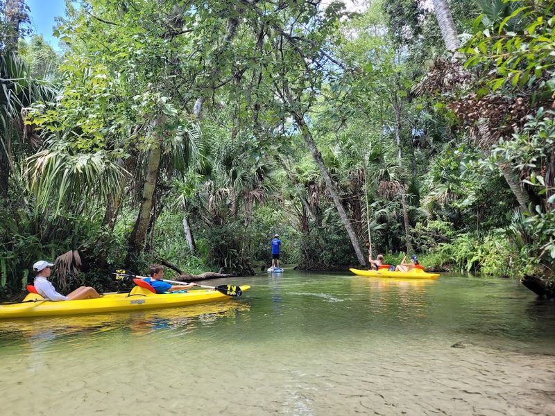 Kayaking Offers A More Scenic Side Of The Springs
