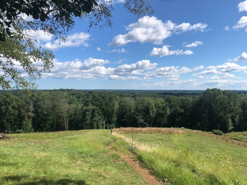 Ward Reservation 