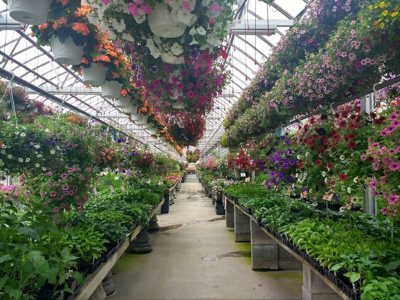 Baker's Home & Garden Center