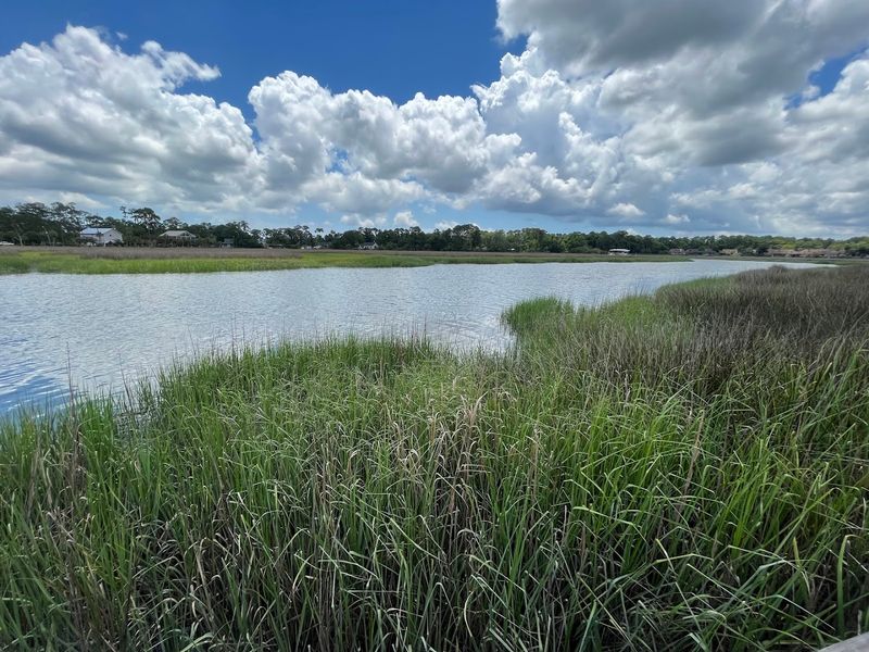 Oatland Island Wildlife Center