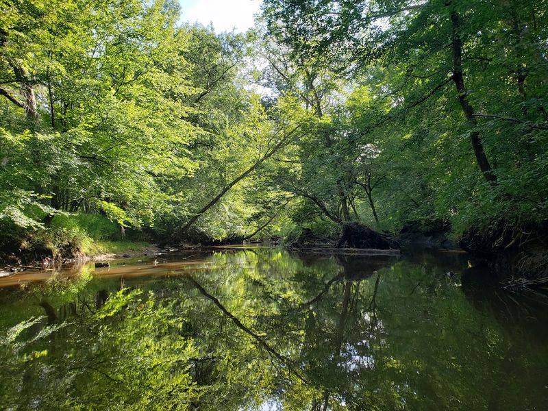 Medoc Mountain State Park - Hollister, Halifax County