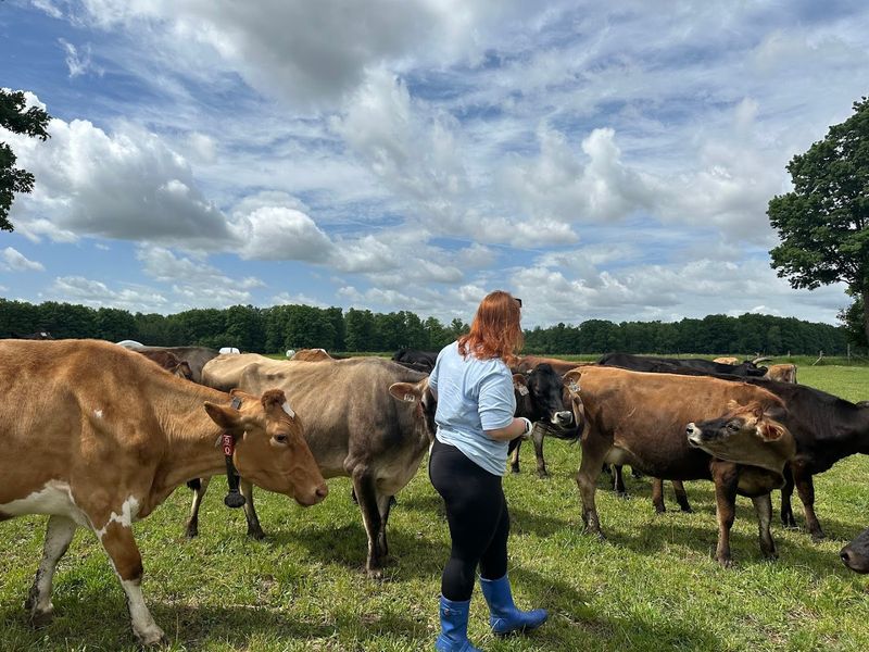 De Vor Dairy Farm & Creamery (Kalkaska)