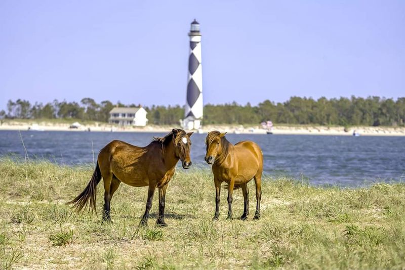Cape Lookout Lighthouse Views