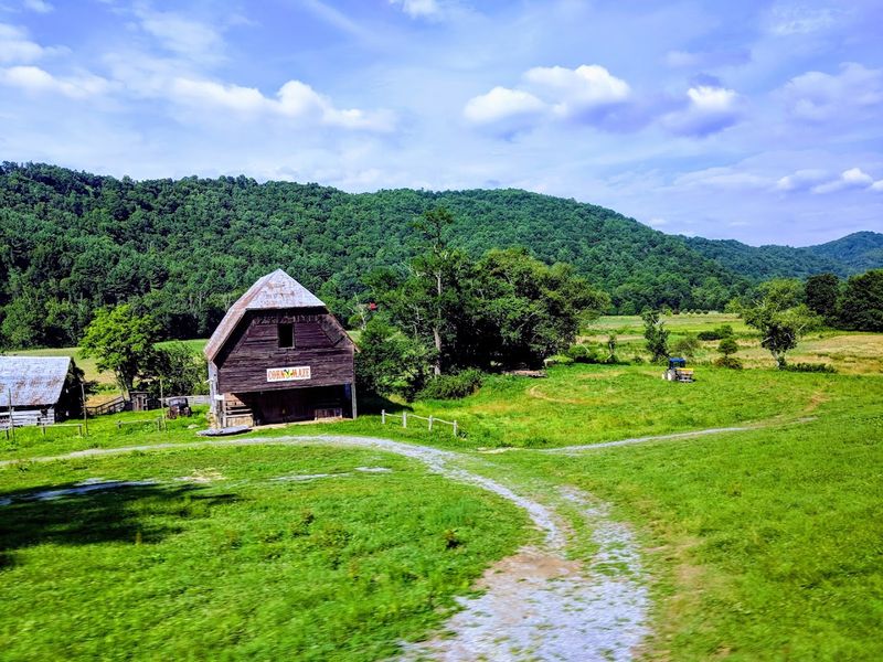 Pisgah National Forest Horse Trails (Pisgah Ranger District) 