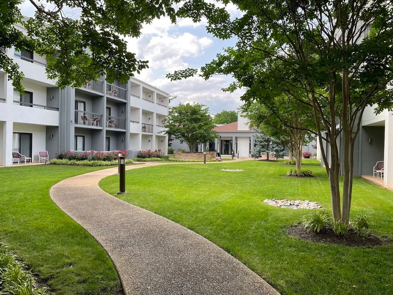 Herndon 