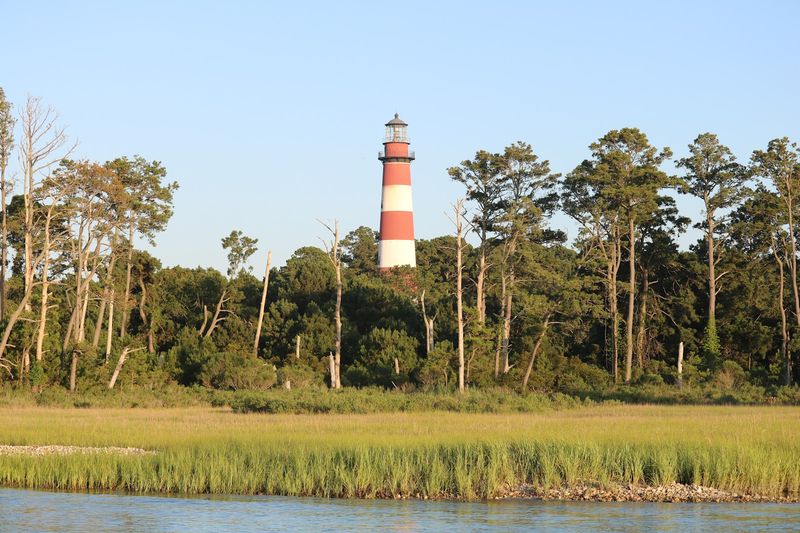 Chincoteague National Wildlife Refuge Beach (Chincoteague, Accomack)