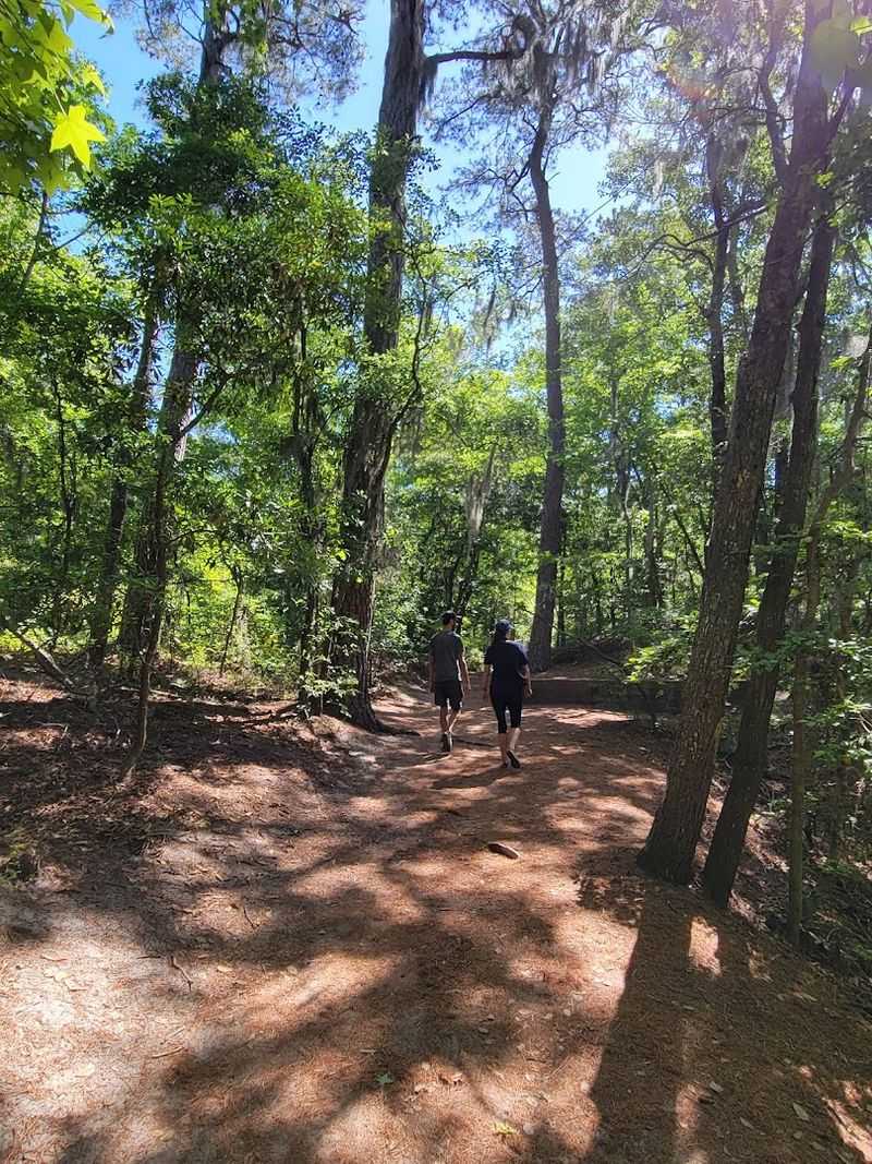 Bald Cypress Trail