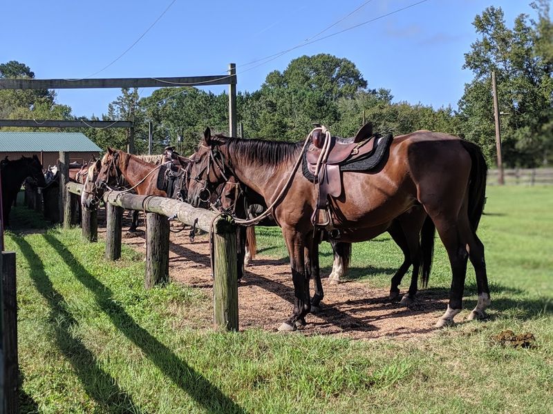 Triple R Ranch