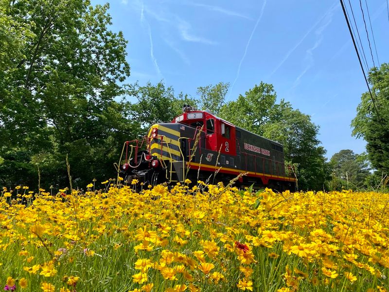 Virginia Scenic Railway - Seasonal Steam Excursions
