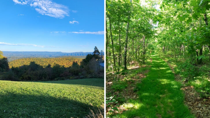 Virginia’s Most Breathtaking Spot That Still Escapes The Crowds