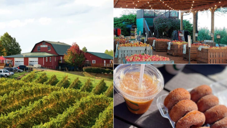 Virginia’s Most Charming Orchard Escape Comes With Peaches, Apples, And Stunning Scenery