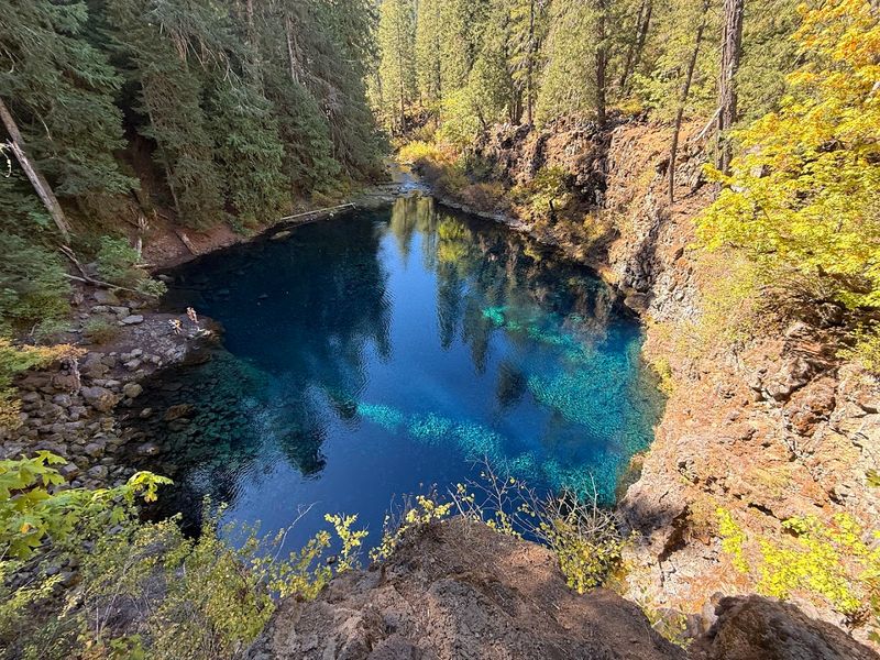 Tamolitch Blue Pool's Vanishing Act