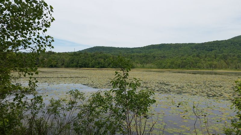 Ashuwillticook Rail Trail State Reservation - Cheshire