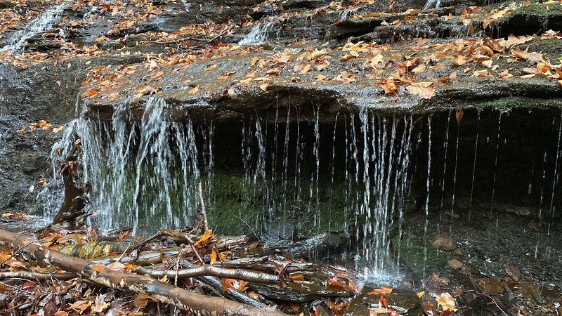 Wadsworth Little Falls