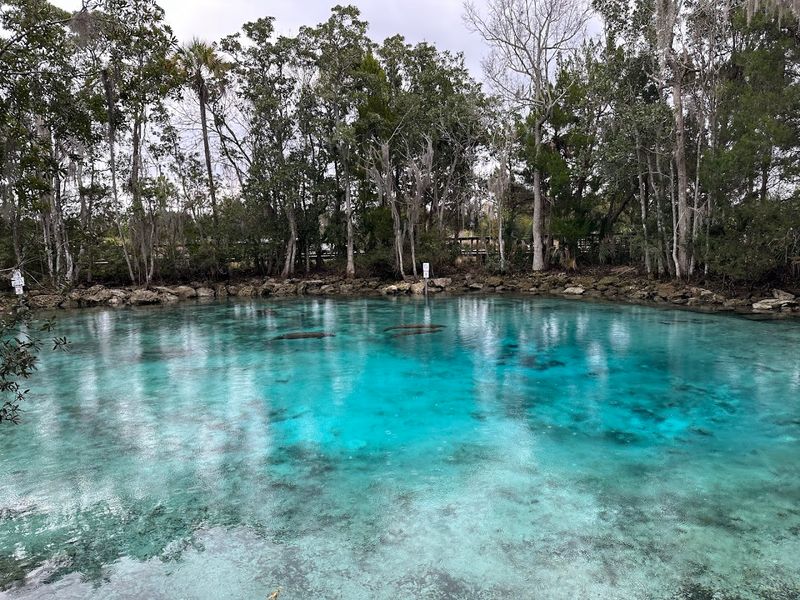 Three Sisters Springs