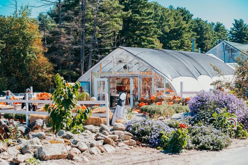 Smolak Farms