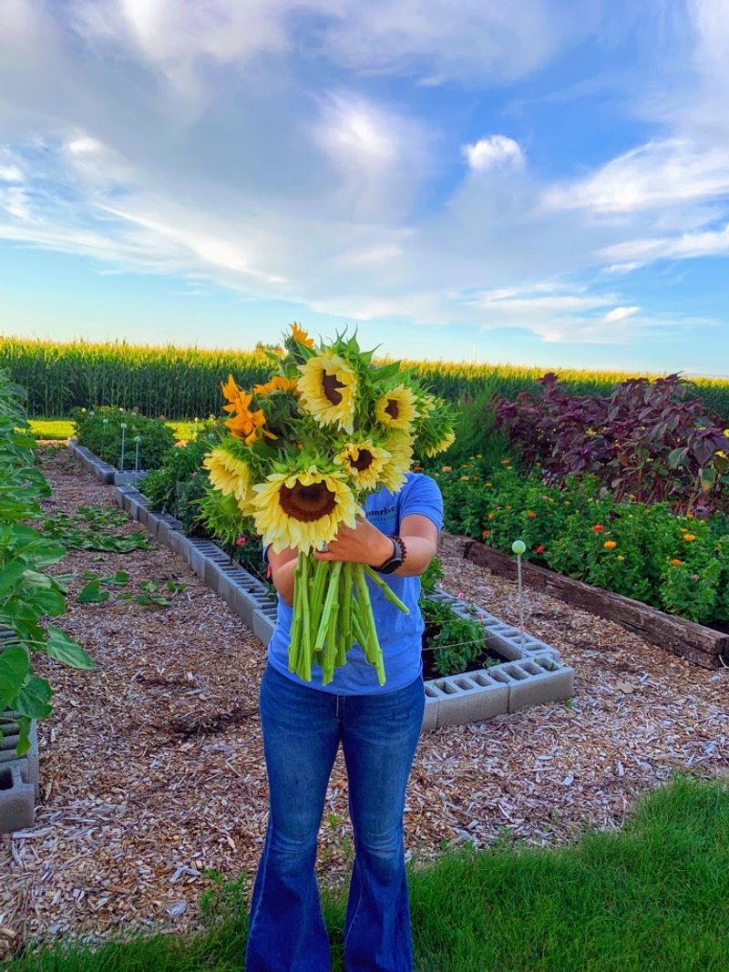 The Flower Coop