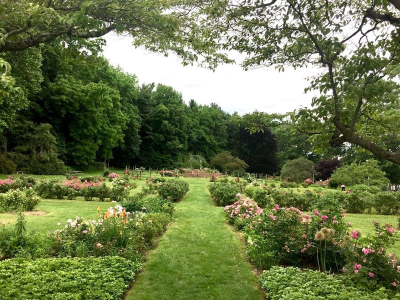 Pardee Rose Gardens