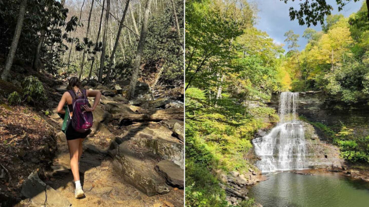 Wander This Magical Virginia Forest Trail And Discover A Secret Creek And Waterfall