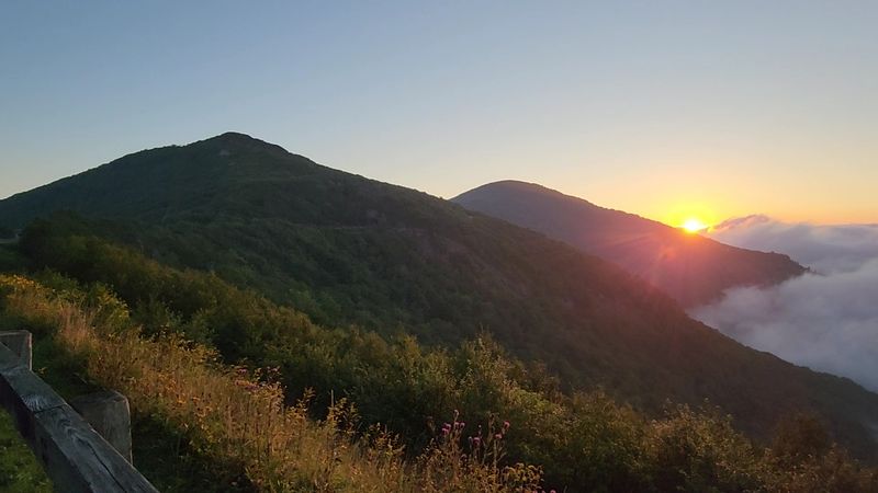 Blue Ridge Parkway Loop from Asheville, Asheville, Buncombe County
