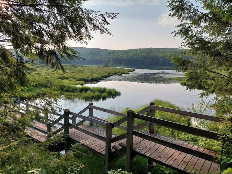 Trails Range From Easy Walks To Rugged Climbs
