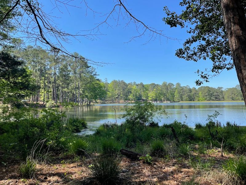 F.D. Roosevelt State Park 