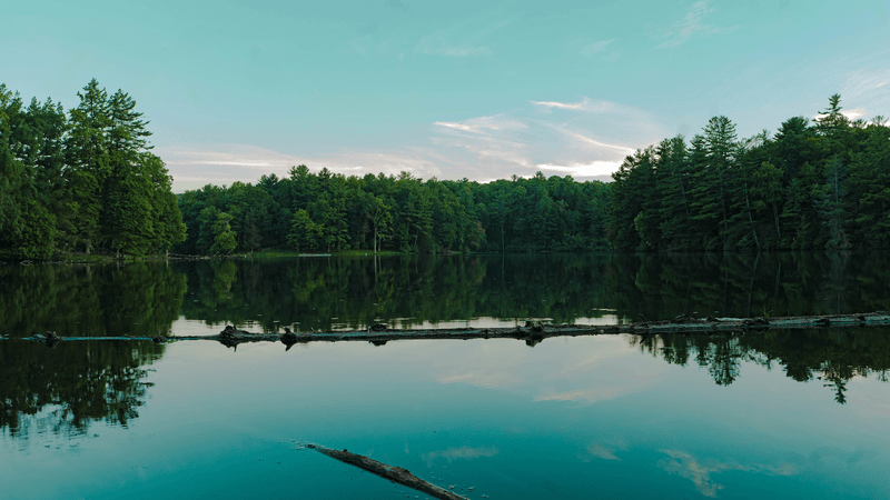 Cohutta Wilderness