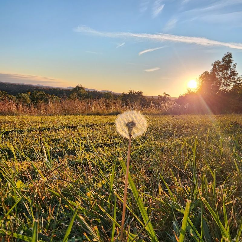 Scioto Trail State Park to Chillicothe Route - Chillicothe, Ross County