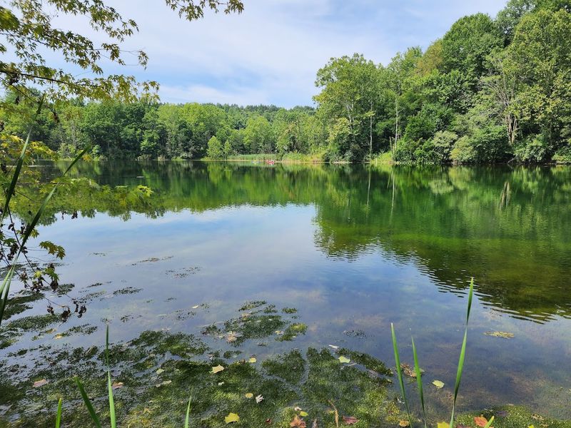 AEP ReCreation Land