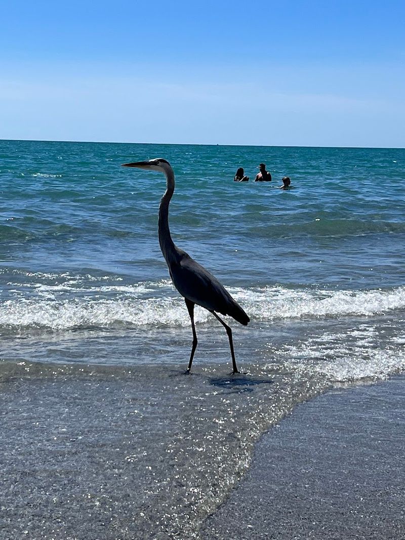 Sanibel Island