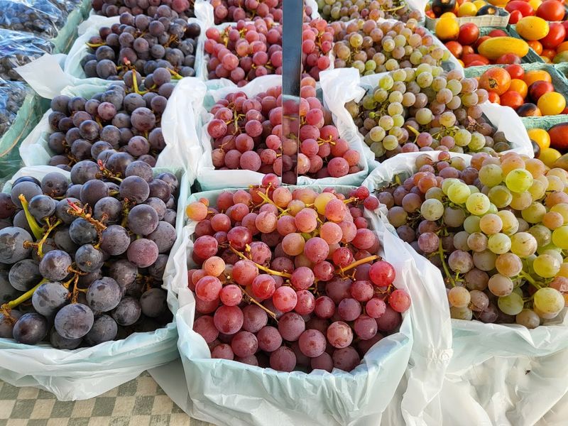 New Canaan Farmers Market &mdash; New Canaan