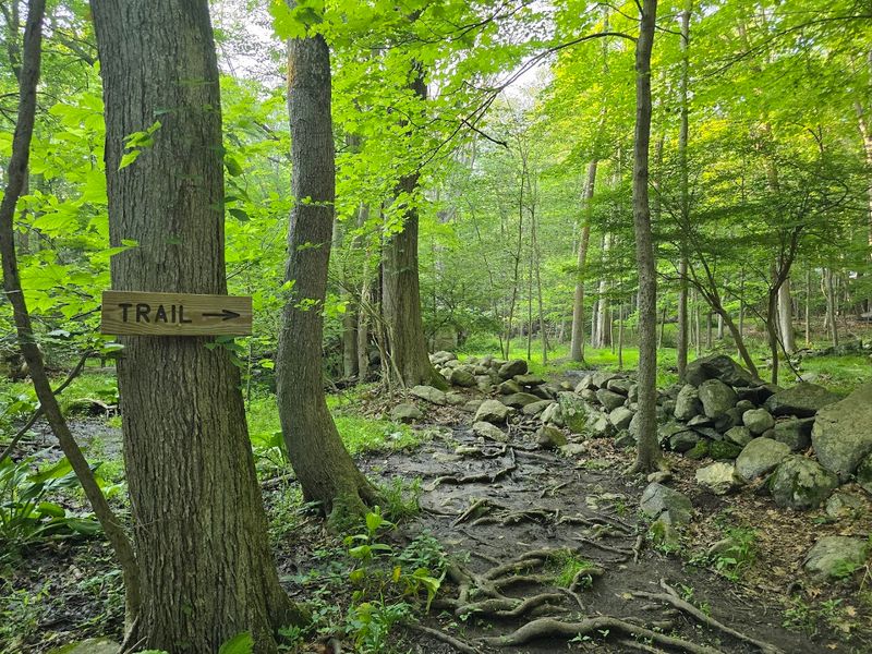 Mianus River Park 