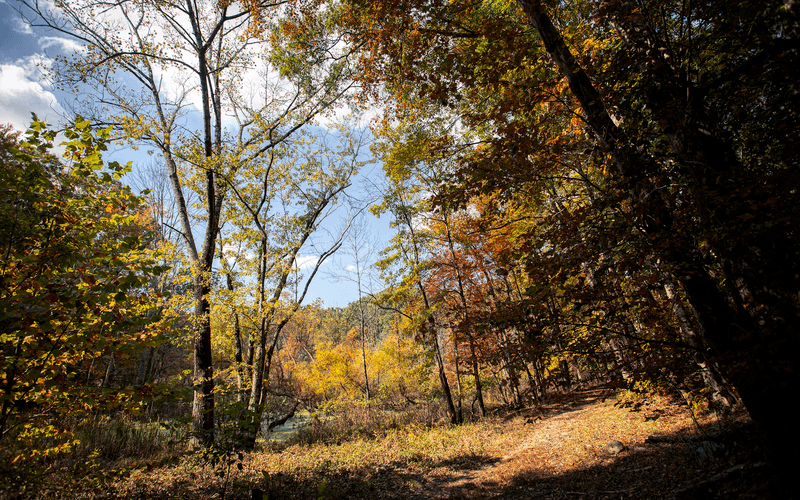 Mianus River Park 