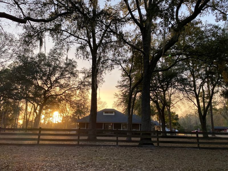Diamond D Ranch