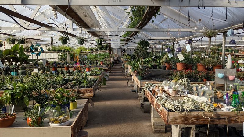 Lancaster Gardens Inc
