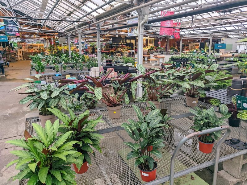 Mahoney&rsquo;s Garden Center (Winchester location)