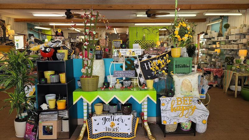 More Than Plants - Pots, Decor, And Project Ideas