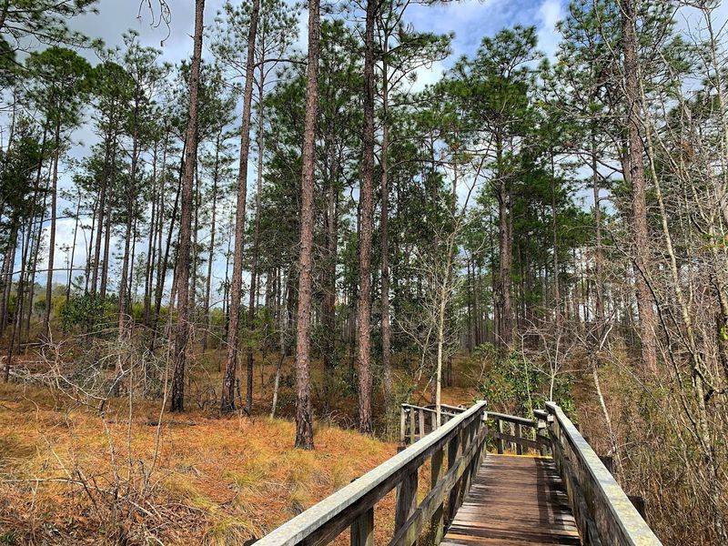 Why this Panhandle landmark feels so different
