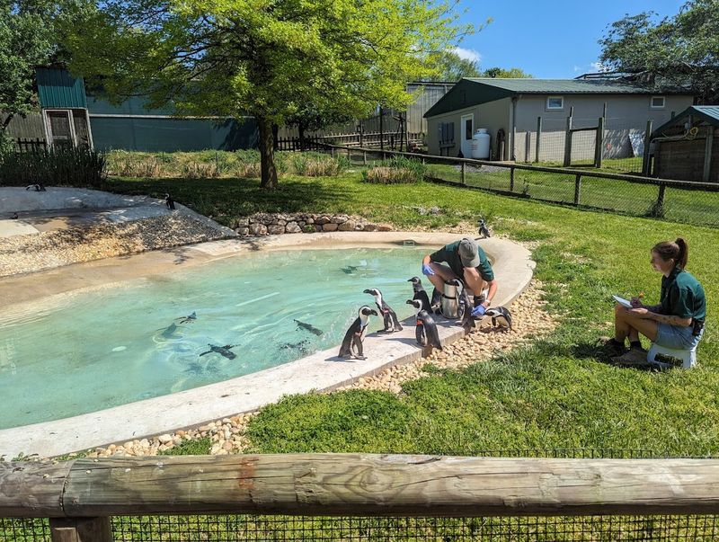 Safari experience through children's eyes