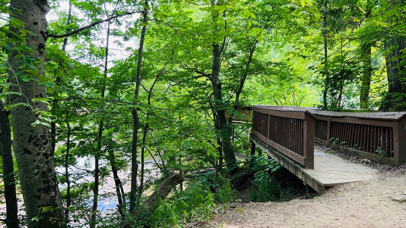 Short Walks Big Scenic Reward