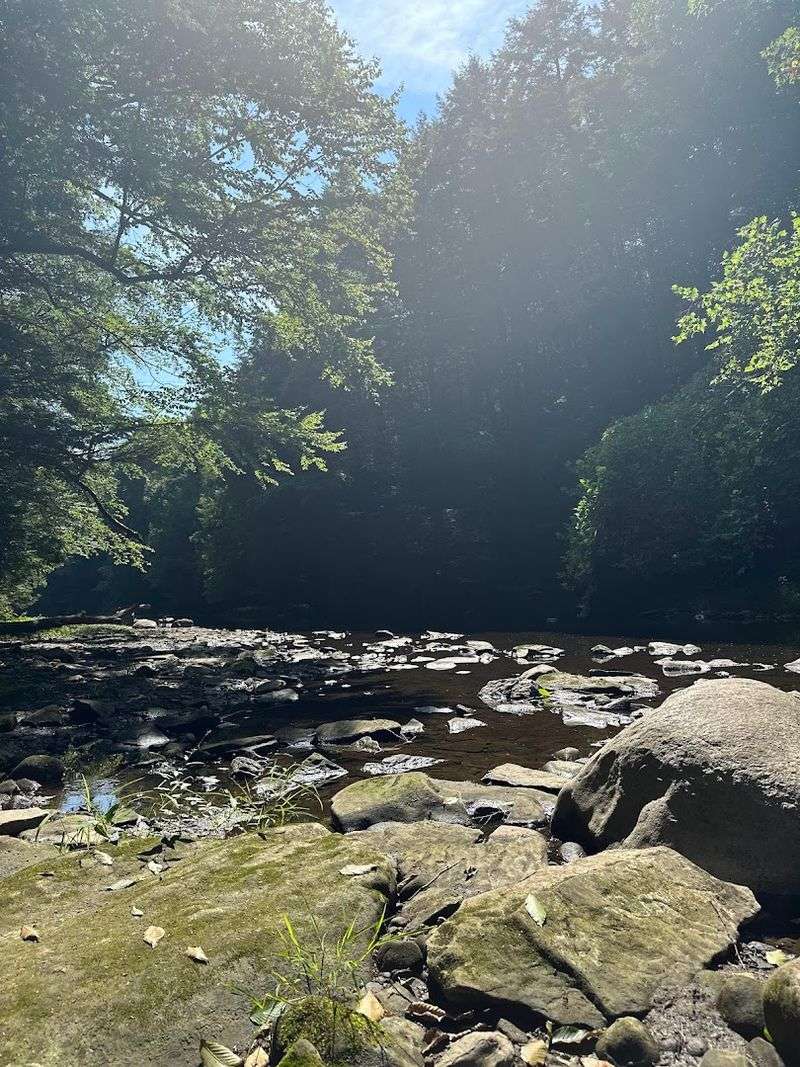 The Trail Feels Like Exploration, Not Routine