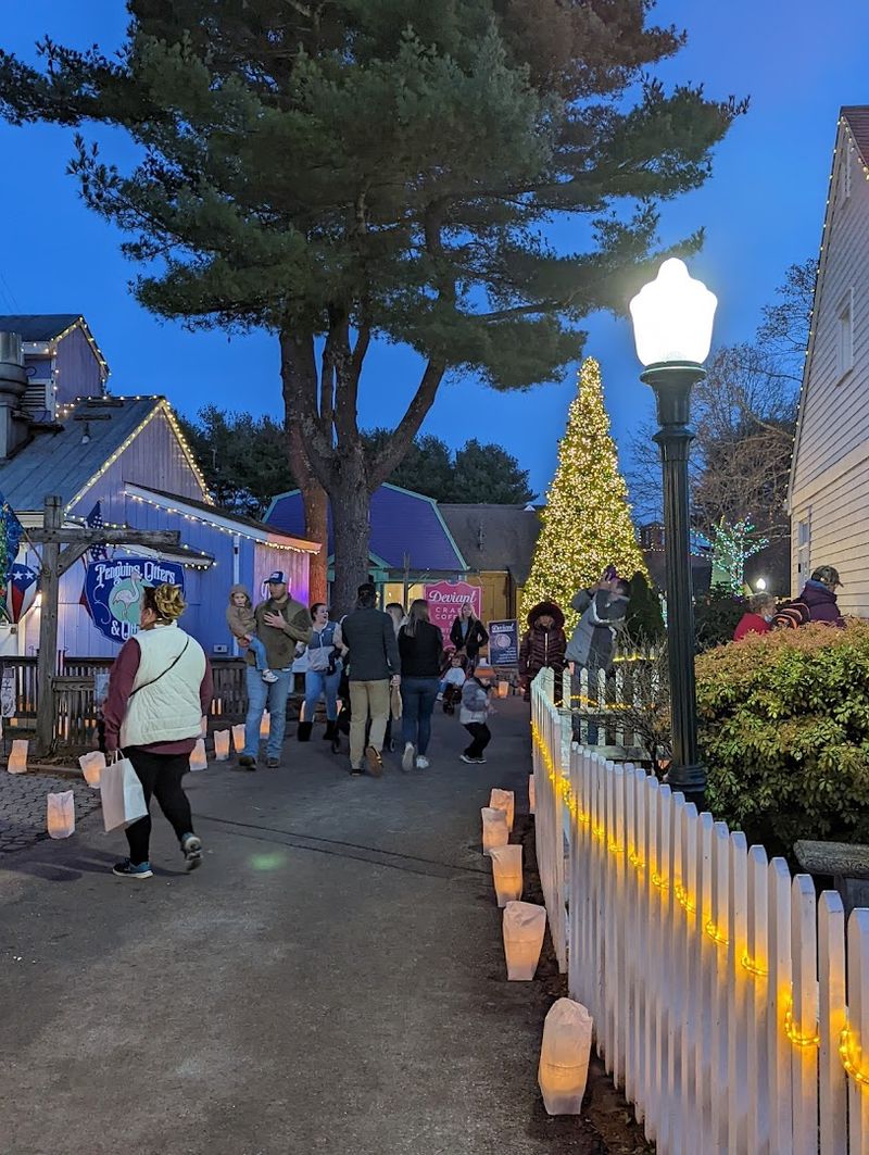 Spectacular Holiday Light Displays That Dazzle