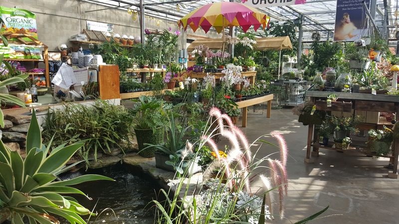 Moscarillo's Garden Shoppe - West Hartford, Hartford County,