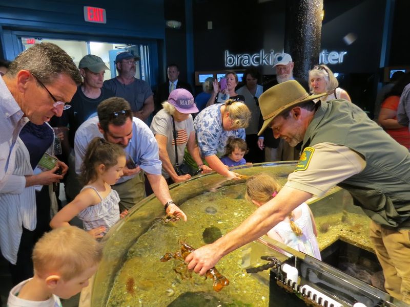 Meigs Point Nature Center - Madison, New Haven County