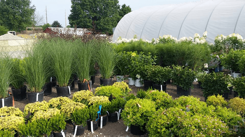 Elliott's Garden Center