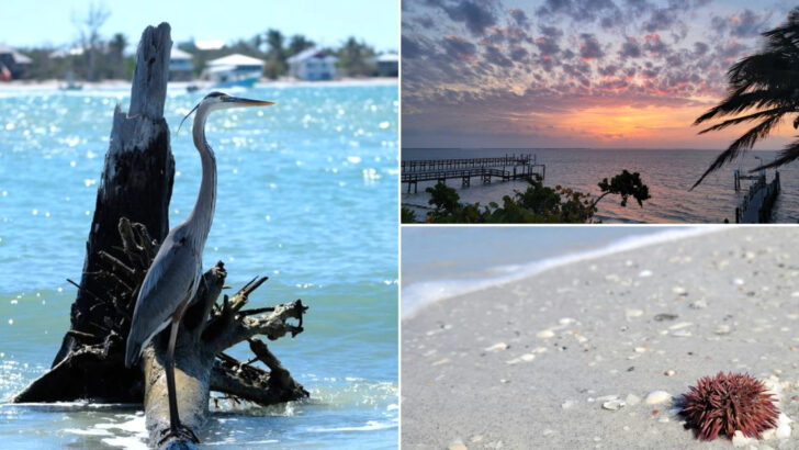 White Sand And Empty Shores Make This Florida State Park Feel Like A Private Island Escape