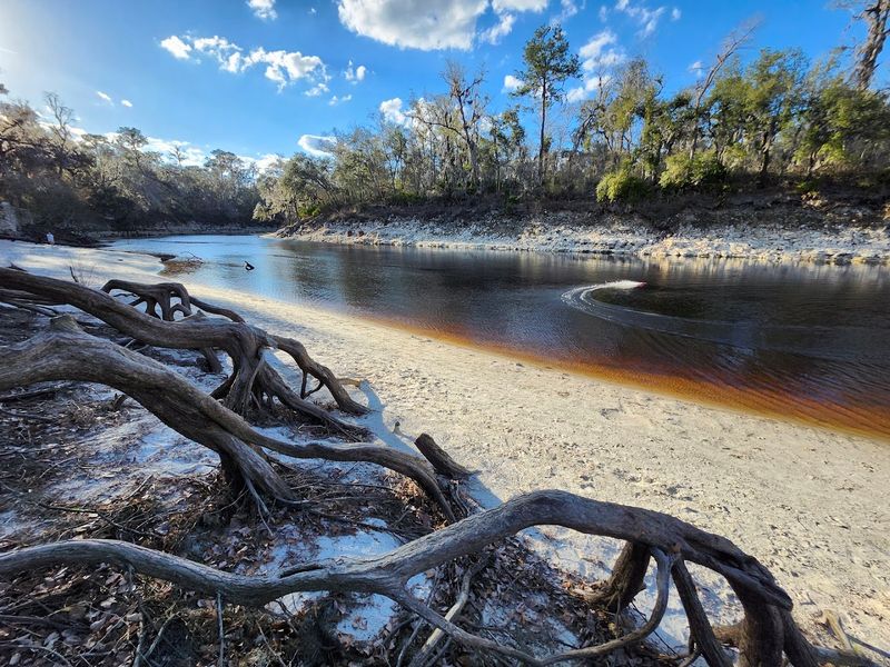Suwannee Springs - Live Oak