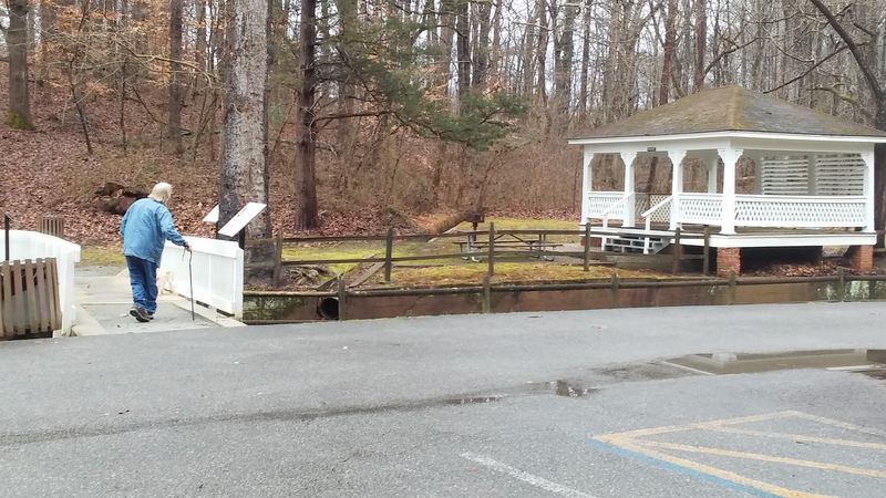 Buffalo Lithia Springs &ndash; Buffalo Springs